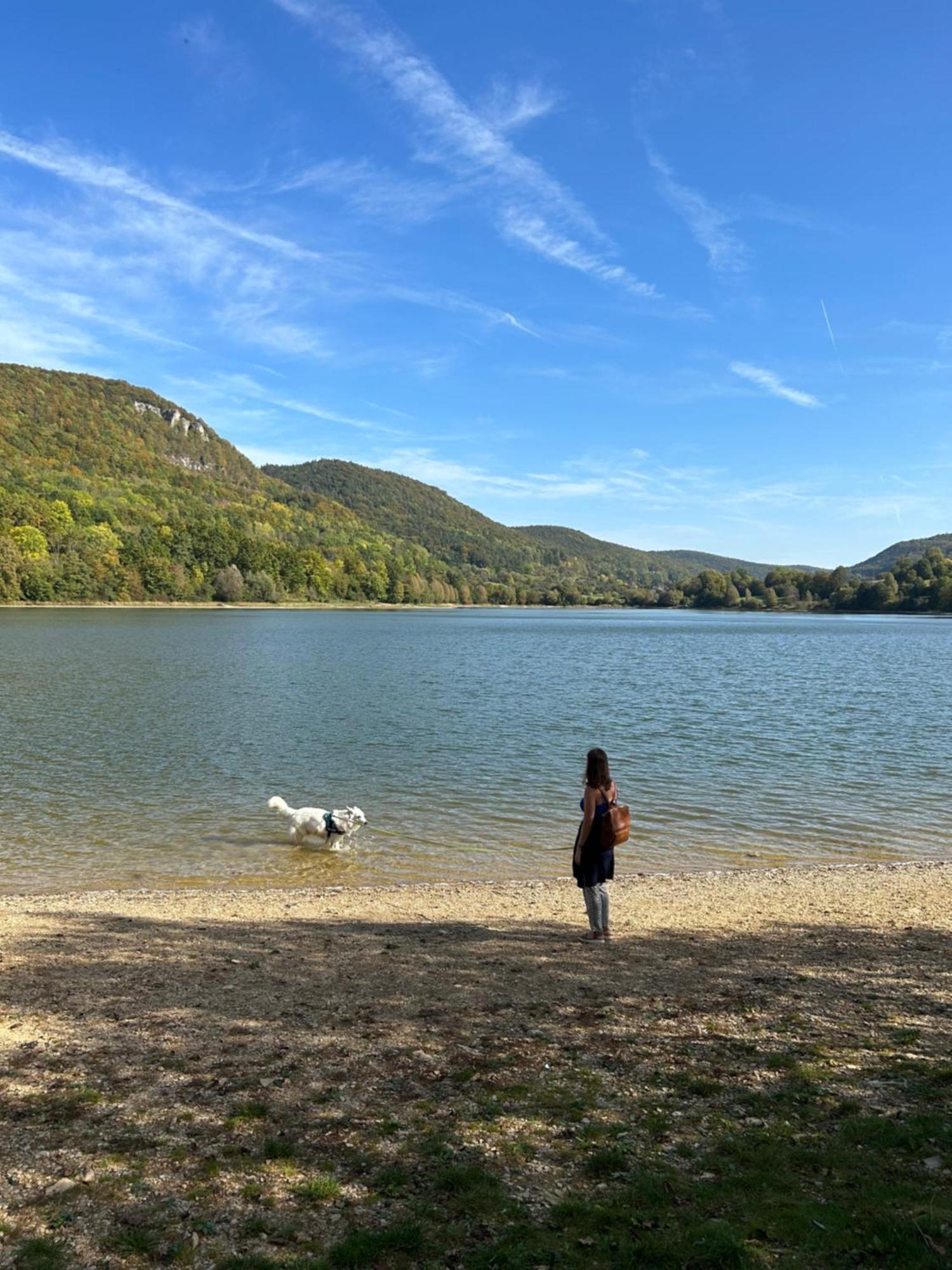 Laendliche Fewo Wildblume, 4 Km Zum Stausee هابّورك المظهر الخارجي الصورة